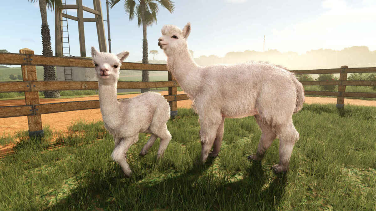 FS25BA alpacas 2