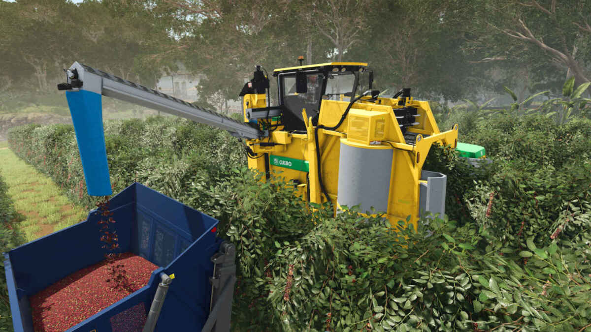 FS25BA coffeeHarvest
