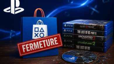 fin store playstation